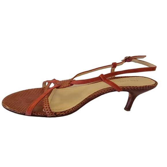 Ann Taylor Strappy Leather Small Heel Sandal Shoe Size 6M - Picture 2 of 10